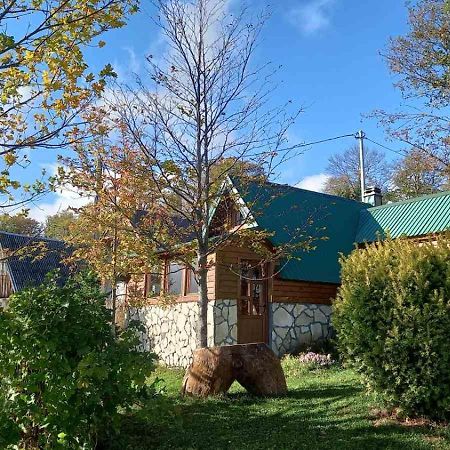 Family Farm Bungalow Žabljak Exteriér fotografie