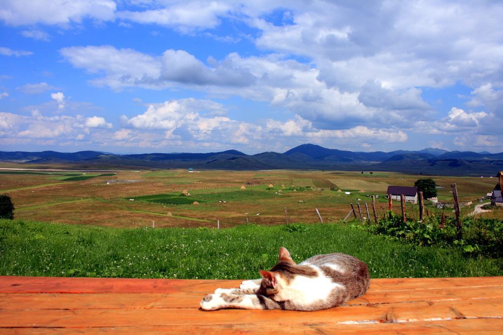 Vila Family Farm Bungalow Žabljak Exteriér fotografie