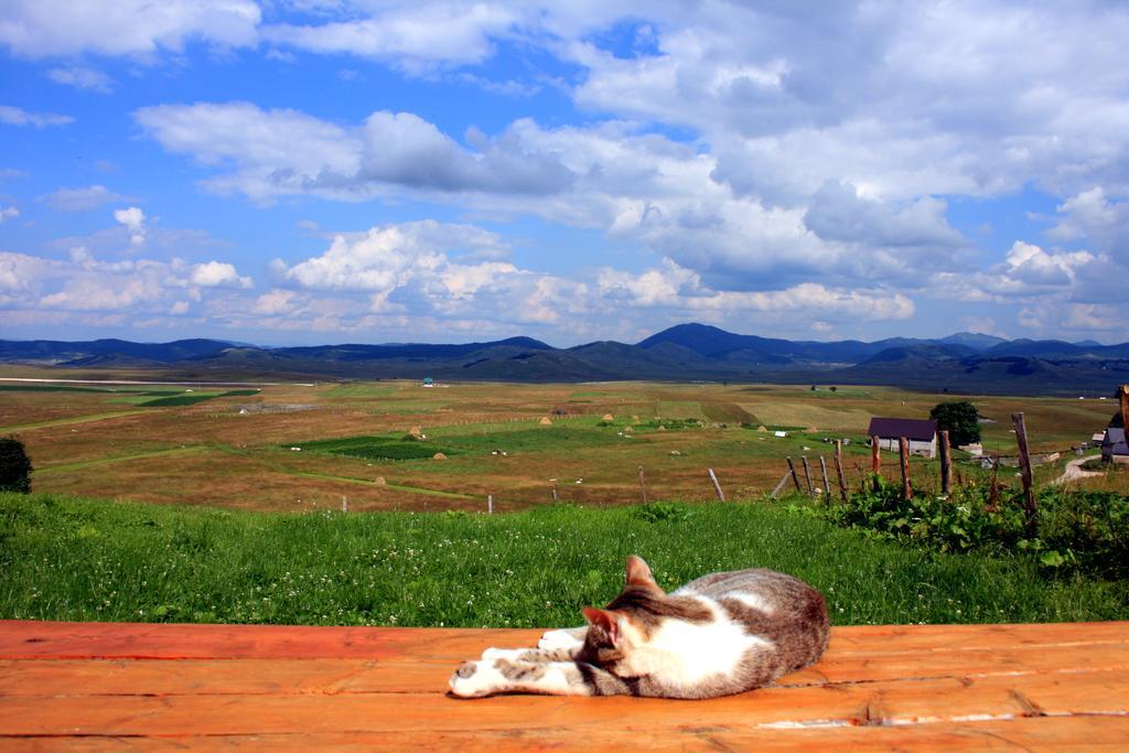 Family Farm Bungalow Žabljak Exteriér fotografie
